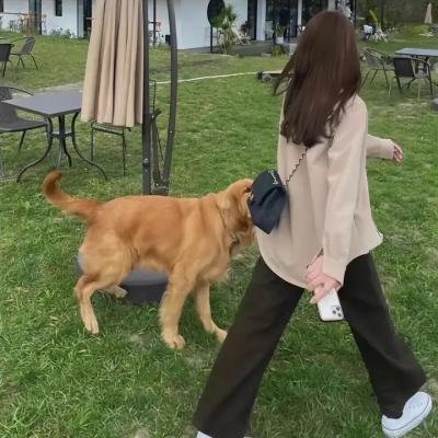 上心
